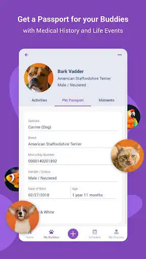Play Pawfolio and enjoy Pawfolio with UptoPlay Play Pawfolio and enjoy Pawfolio with UptoPlay