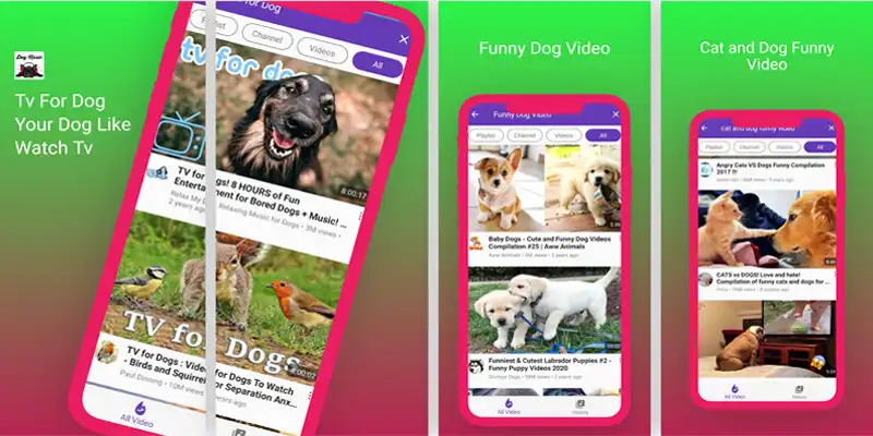 Play Paw Mp3 Relax Dog Music Online as an online game Paw Mp3 Relax Dog Music Online with UptoPlay