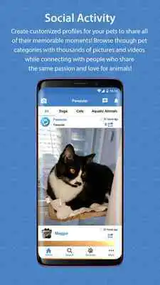 Play Pawpular