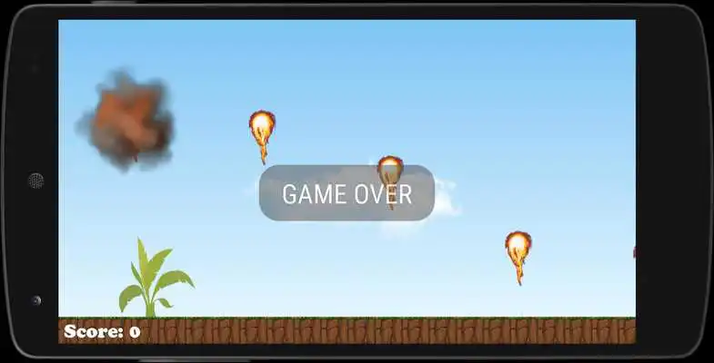 Play PAW Puppy Plane Patrol