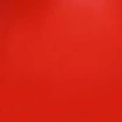 Play Paw Racing Patrol