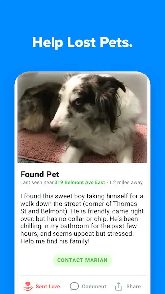 Play Pawscout  and enjoy Pawscout with UptoPlay