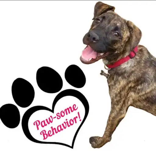 Play Pawsome Behavior Dog Training APK