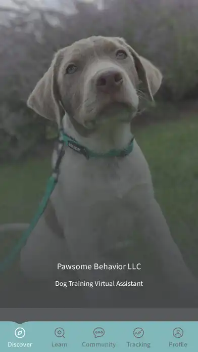 Play Pawsome Behavior Dog Training and enjoy Pawsome Behavior Dog Training with UptoPlay Play Pawsome Behavior Dog Training and enjoy Pawsome Behavior Dog Training with UptoPlay