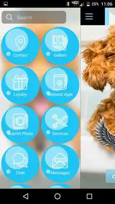 Play Paws on the Fly