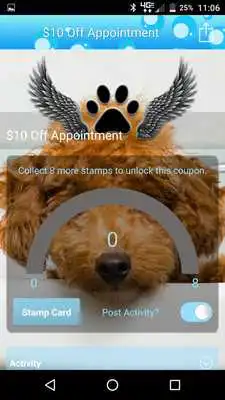 Play Paws on the Fly