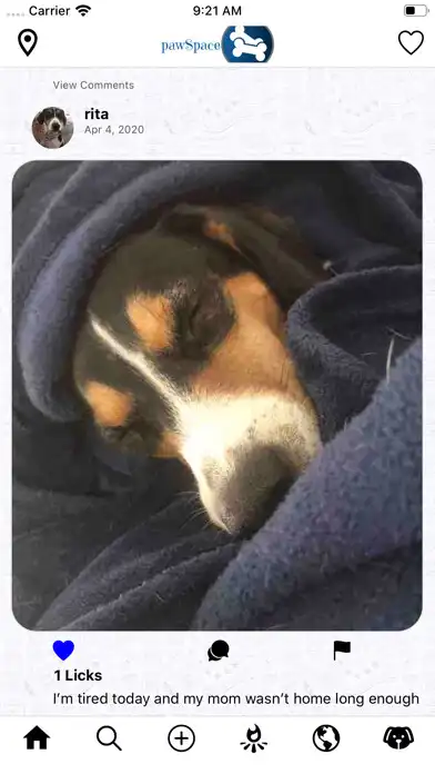 Play PawSpace as an online game PawSpace with UptoPlay