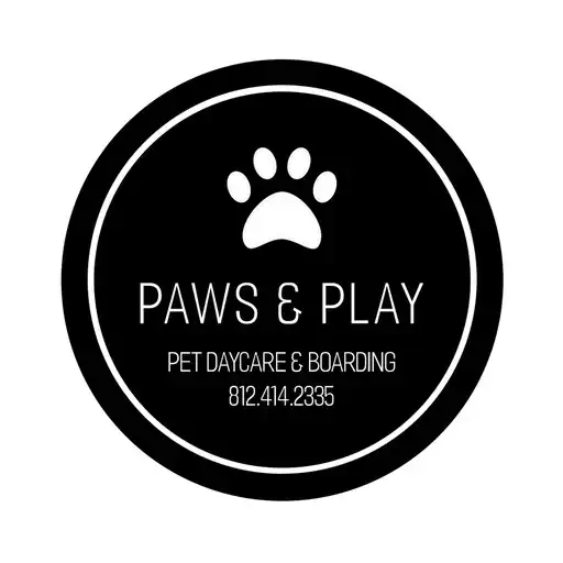 Play Paws  Play IN APK
