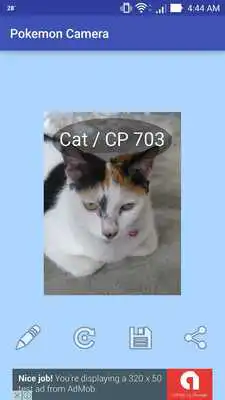 Play PCamera