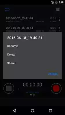 Play PCM Recorder Lite