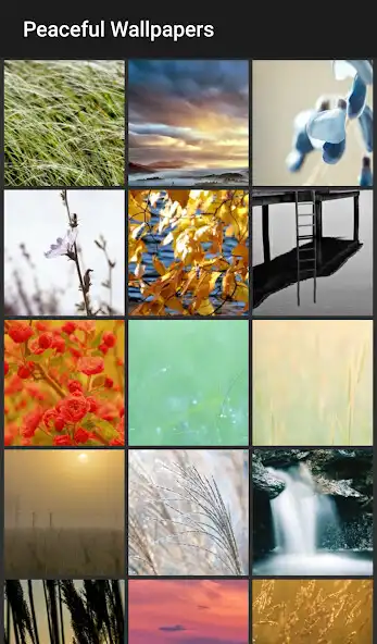 Play Peaceful Wallpapers as an online game online Peaceful Wallpapers with UptoPlay Play Peaceful Wallpapers as an online game Peaceful Wallpapers with UptoPlay