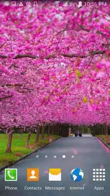 Play Peach cherry blossom wallpaper