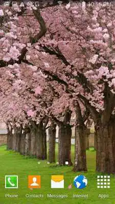 Play Peach cherry blossom wallpaper