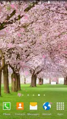 Play Peach cherry blossom wallpaper