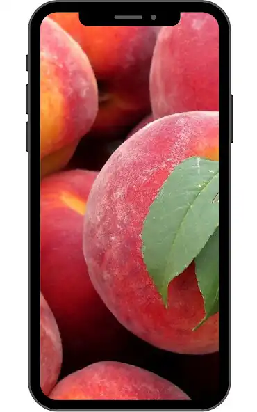 Play Peach Wallpaper  and enjoy Peach Wallpaper with UptoPlay