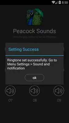 Play Peacock Calls and Sounds