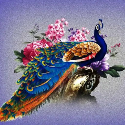 Play Peacock HD Wallpaper APK Play Peacock HD Wallpaper APK
