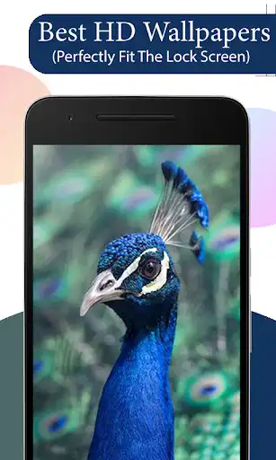 Play Peacock HD Wallpaper as an online game Peacock HD Wallpaper with UptoPlay