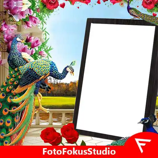 Free play online Peacock Insta DP APK