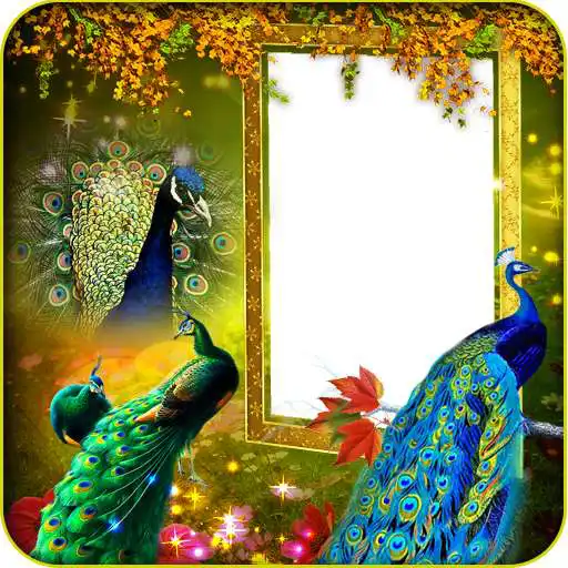Play Peacock Insta DP Maker APK