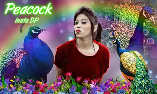 Play Peacock Insta DP Maker  and enjoy Peacock Insta DP Maker with UptoPlay