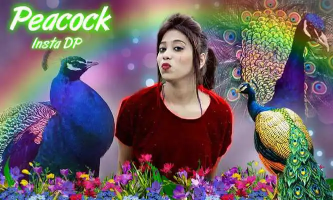 Play Peacock Insta DP