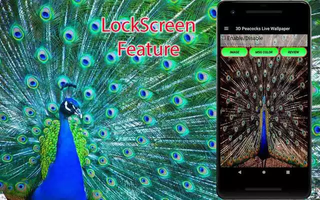Play Peacock LiveWallpaper