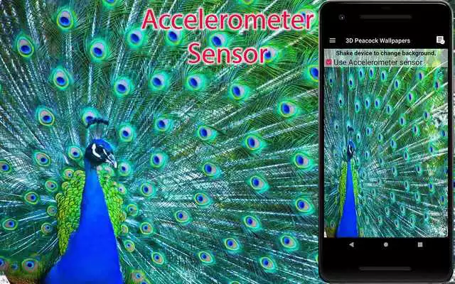 Play Peacock LiveWallpaper