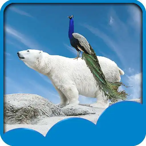 Free play online Peacock Live Wallpapers  APK