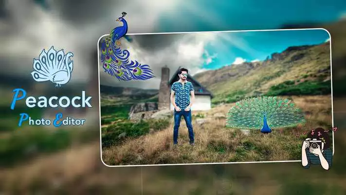 Play Peacock Photo Editor