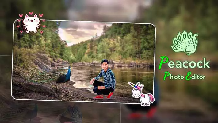 Play Peacock Photo Editor