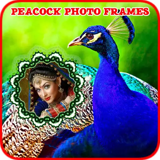 Free play online Peacock Photo Frames  APK
