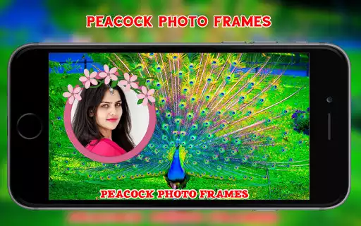 Play Peacock Photo Frames  and enjoy Peacock Photo Frames with UptoPlay