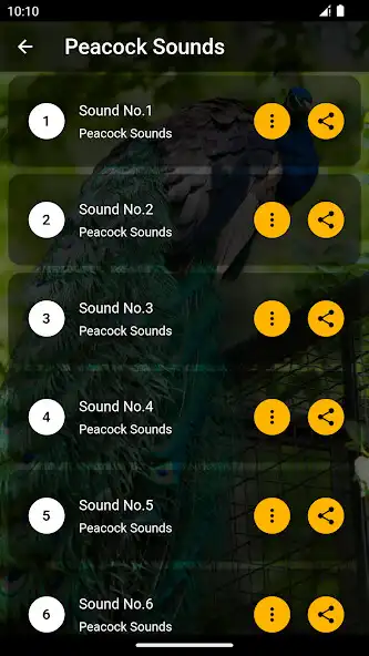Play Peacock Ringtones as an online game online Peacock Ringtones with UptoPlay Play Peacock Ringtones as an online game Peacock Ringtones with UptoPlay