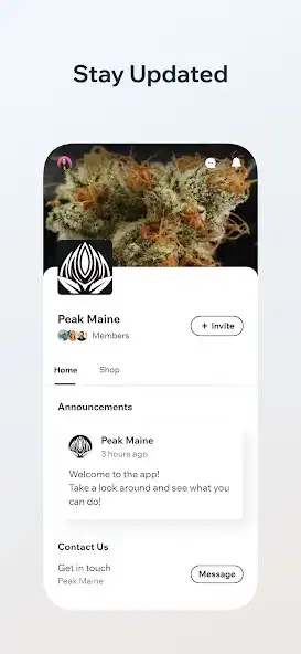 Play Peak Maine  and enjoy Peak Maine with UptoPlay