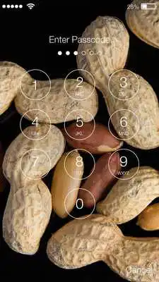Play Peanut Nuts PIN Lock Screen