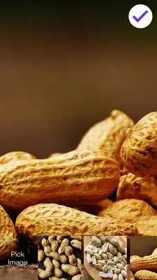 Play Peanut Nuts PIN Lock Screen