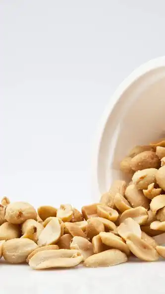 Play Peanut Wallpaper as an online game online Peanut Wallpaper with UptoPlay Play Peanut Wallpaper as an online game Peanut Wallpaper with UptoPlay