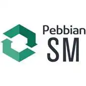 Free play online Pebbian SM - DEMO APK