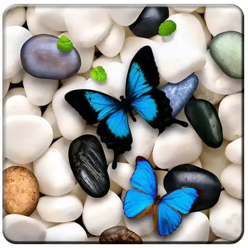 Run free android online Pebbles live Wallpapers APK