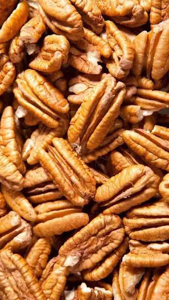 Play Pecan Wallpaper  and enjoy Pecan Wallpaper with UptoPlay