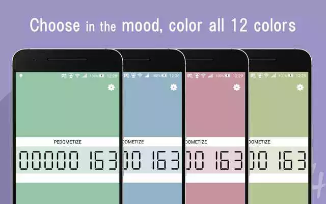 Play PEDOMETIZE - Simple Pedometer