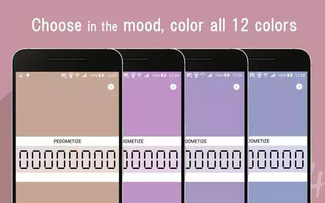 Play PEDOMETIZE - Simple Pedometer