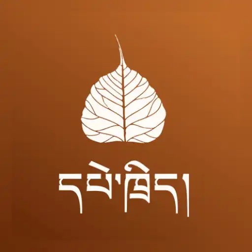 Play Pedrik APK