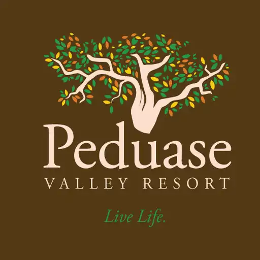 Play Peduase Valley Resort APK