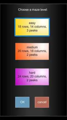 Play PeekAMaze