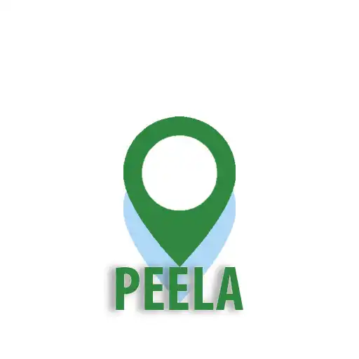 Play PeelaDriver APK