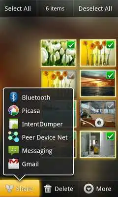Play PeerDeviceNet - Secure Sharing