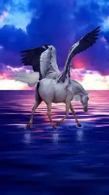 Play Pegasus Live Wallpaper