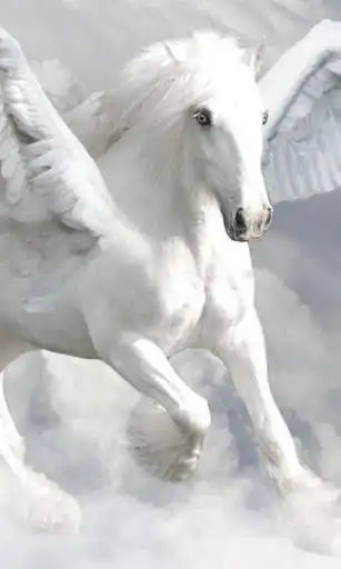 Play Pegasus Wallpaper